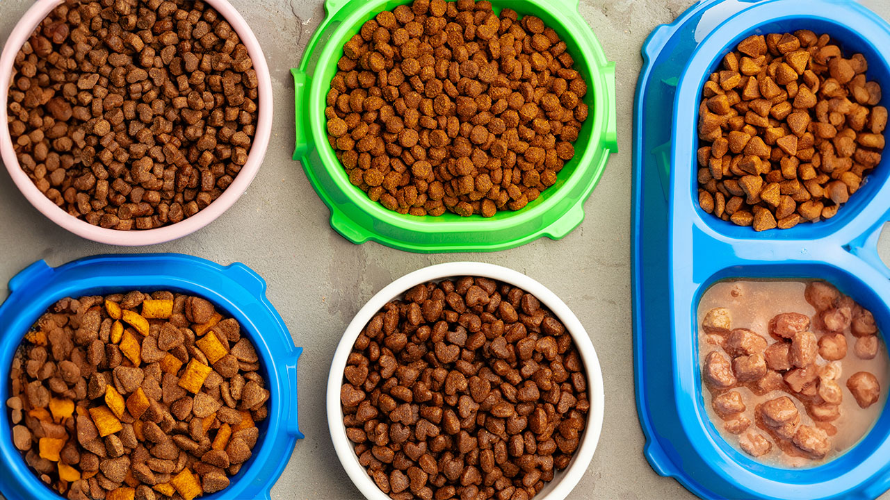 Ração para cachorros - Ração